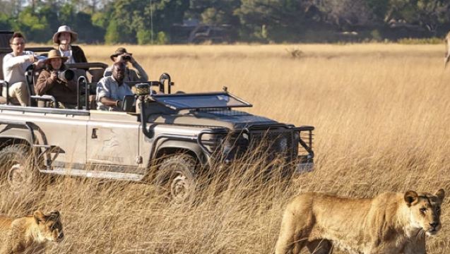 Sudafrica + Johannesburg: Tour nei dintorni della città per visitare le attrazioni classiche | Itinerario personalizzabile