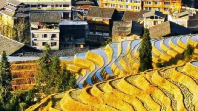 1-day private charter tour from Guilin: Longji Rice Terraces + Huangluo Yao Village + Jinkeng Dazhai/Optional guide service