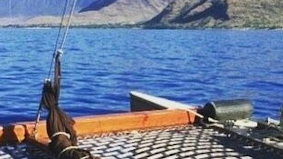 モーニングセイル