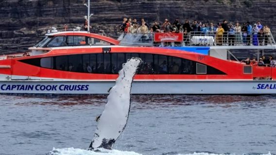 Sydney: Captain Cook Whale Watching Cruise