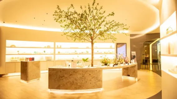 Featured tour starting at 1649 THB: Let’s Relax spa massage in Bangkok