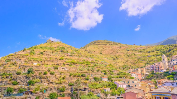 Ιταλία, Φλωρεντία: Εκδρομή στα Cinque Terre - Ταξίδι UNESCO [Συμπεριλαμβάνεται γεύμα με δρόφιμα του δρόμου]