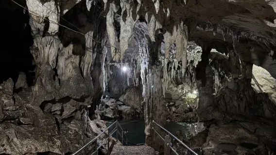 Panglao Island Land Tour