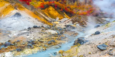 日本北海道登別一日遊:登別地獄谷+地球岬+支芴湖+有珠山+熊牧場