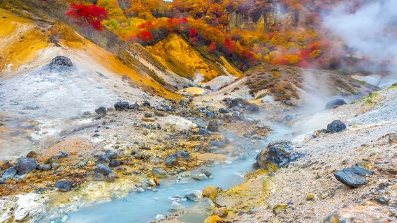 Excursión de un día a Noboribetsu en Hokkaido, Japón: Valle del Infierno, Cabo Chikyu, Lago Shikotsu, Monte Usu y Granja de Osos