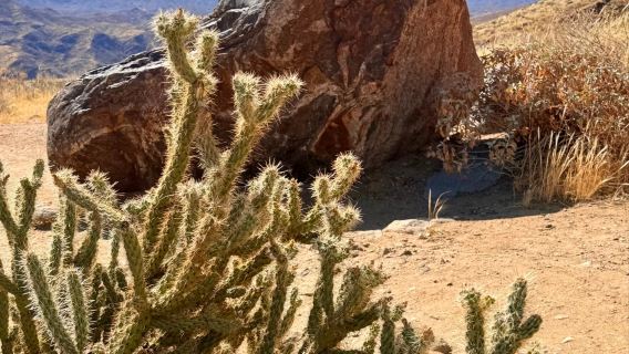 Lawatan Sehari Sewaan Peribadi di Los Angeles, Amerika Syarikat - Palm Springs - Desert Hills Premium Outlets - Eksklusif Santai