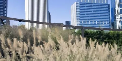 美國芝加哥+千禧公園+華麗一英里一日遊/行程可調-可定制