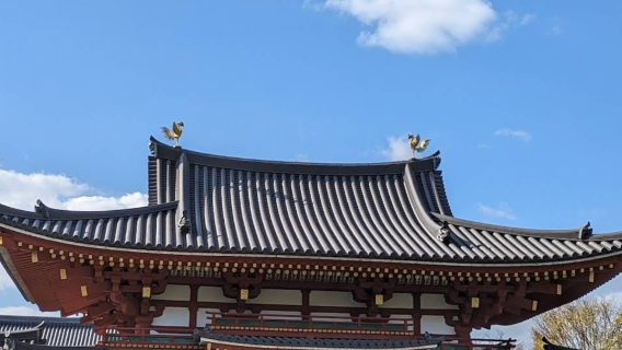 日本大阪來回-宇治橋-奈良公園-東大寺【中文包車自由行】