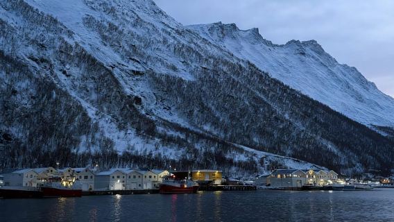 Tromsø: Senja Fjords & Coast Day Tour with FREE Photos