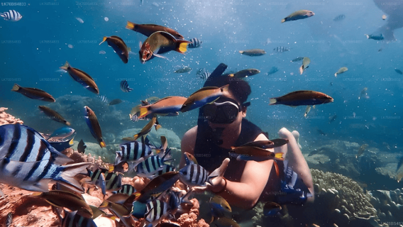 Trincomalee: Pigeon Island Reef Snorkeling Excursion