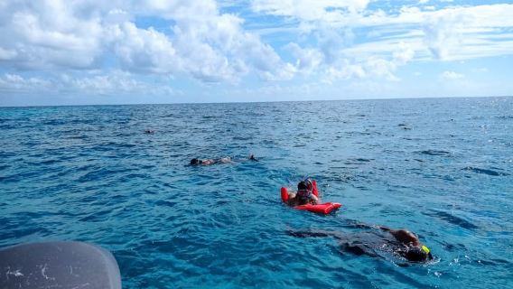 San Pedro: Snorkeling Trip with 4 Stops, Sharks, and Lunch