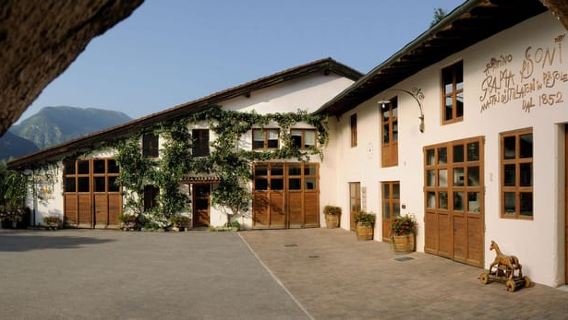 Winery tour with tasting of TrentoDoc and Grappa