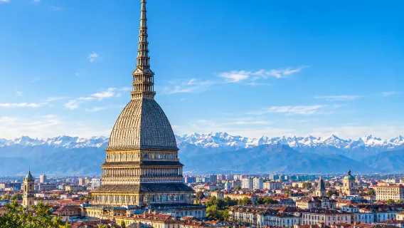 Turin ascent to overlook the city | View the Alps in the distance | 2-hour Chinese guided tour including elevator and admission ticket