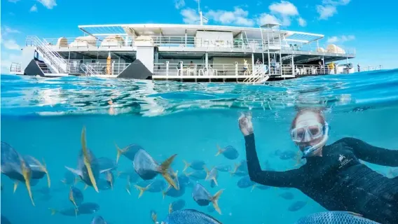 Excursion d'une journée en mer vers le récif de Hardy dans les îles Whitsunday - Départ de Hamilton/Airlie Beach/en hélicoptère