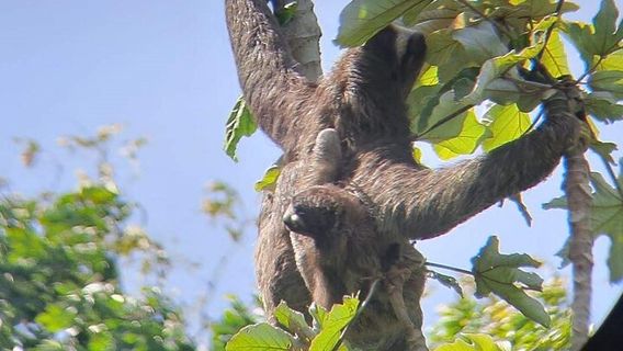 Panama CityTours