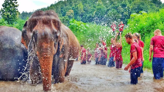 Wiang Pa PaoExcursions d'une journée