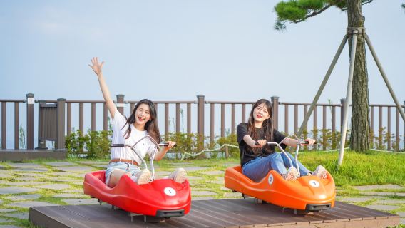 Incheon Ganghwa Island Day Tour B-1 (depart on Tue, Thur, Sat) Ganghwado Luge+Hanjeongsik+Joyangbanggik+Sochang Experience Center+Ganghwa Folk Flea Market