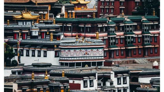 黃洮交會觀景平台+劉家峽大橋+拉卜楞寺+桑科草原一日遊純玩