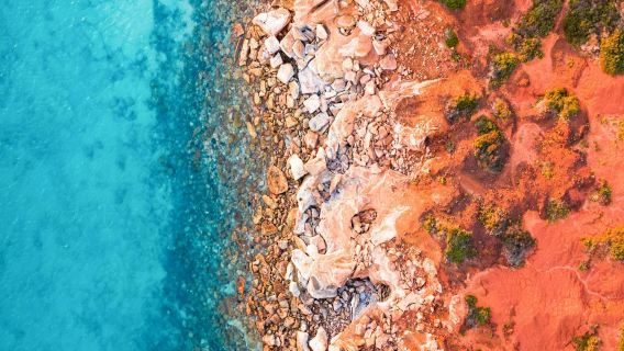 Péninsule de Dampier : Excursion d'une journée en bus