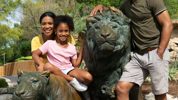 San AntonioTravel Services