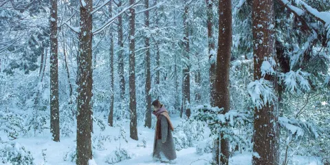 九江Trip Moments【親子照家庭照婚禮跟拍航拍街拍抓拍約拍/婚紗寫真攝影攝像/翻譯】