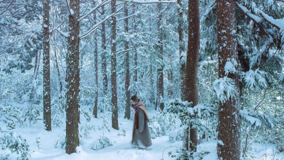 九江旅行写真【ウェディングフォト、マイクロフィルム、航空写真/ウェディングフォト/メイクアップと衣料品&アクセサリー/チャーター車ガイド、カスタマイズ翻訳】