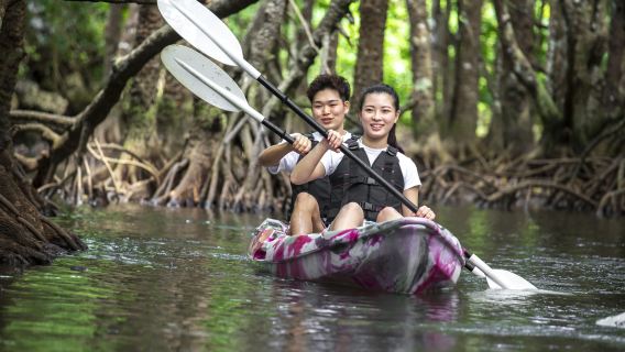 日本石垣島+青之洞窟體驗潛水浮潛6小時【【ADVENTURE PiPi 石垣島】紅樹林SUP/獨木舟&青之洞窟浮潛】