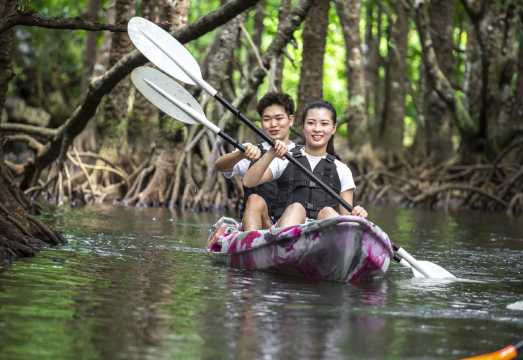 6-Hour Diving and Snorkeling Experience at Ishigaki and Blue Cave in Japan [ADVENTURE PiPi Ishigaki: Mangrove SUP/Canoe & Blue Cave Snorkeling]