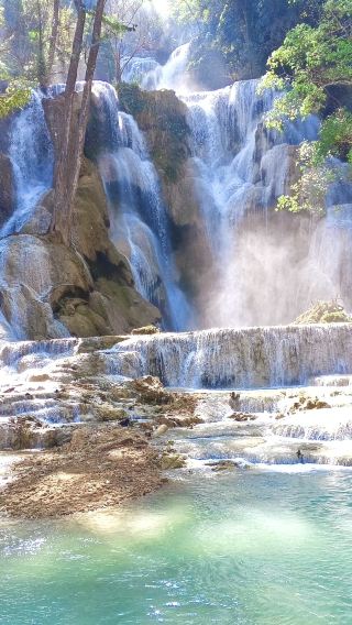 Classic Luang Prabang Day Tour: Kuang Si Waterfalls & City Highlights