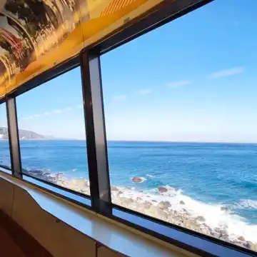 Japan Tokyo Izu 1-day tour: Mt. Omuro + zoo + scenic train