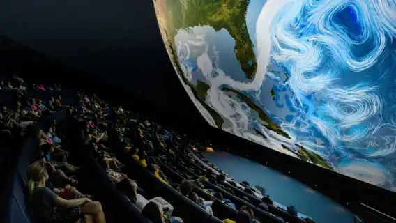 Phillip & Patricia Frost Museum of Science, Aquarium & Planetarium: Entry Ticket