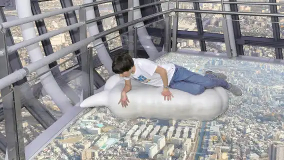 Asakusa Tokyo Skytree Exploration Tour