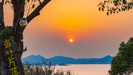 浙江舟山嵊泗列島日帰りツアー【行程カスタマイズ|現地ガイド|英語ガイド|貸切チャーター】JY