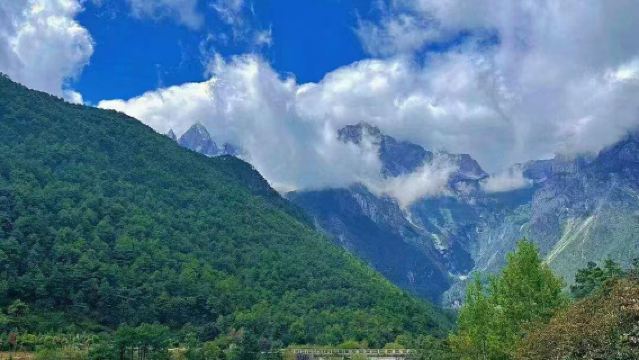 1-day tour to Spruce Meadow + Dragon Lady Lake + Baisha Ancient Town + Tinghua Valley Baihuayuan in Lijiang - Chinese and English services available