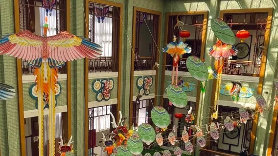 山東濰坊：濰坊風箏博物館+蔬菜博物館+青州不夜城+導遊O