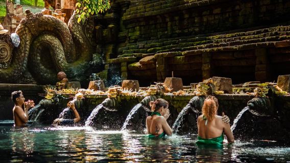 Tour 1 ngày Ubud Music: Thác nước - Đền nước thánh - Ruộng bậc thang - Rừng khỉ