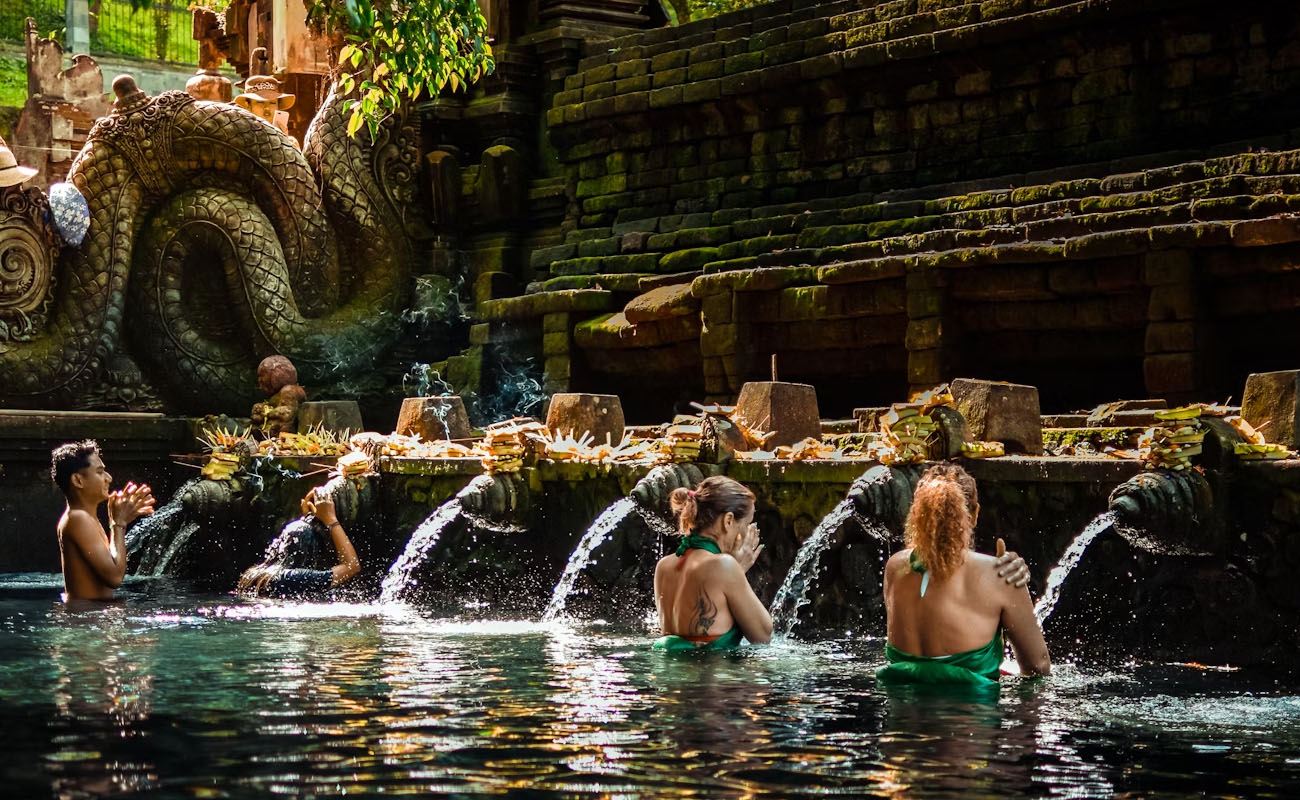 Ubud 1Day Tour: Waterfall - Holy Spring Water Temple - Rice Terrace - Monkey Forest