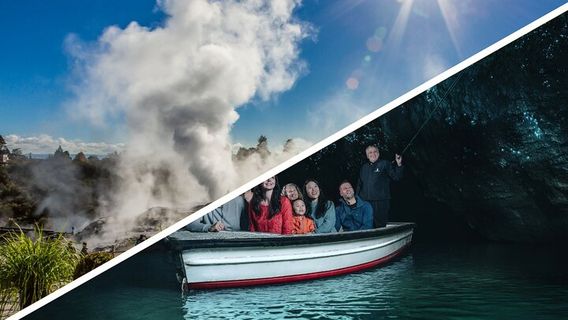 AucklandTours