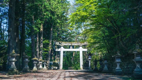 高山村日遊