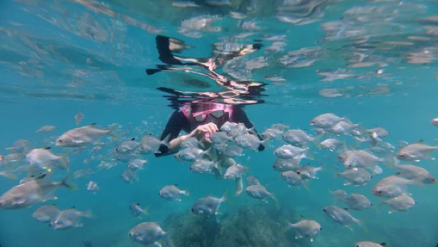 三亞太陽灣+百福島+百福灣自由潛水浮潛5小時【【百福島可上島】無二次收費純玩浮潛+送拍攝/快艇/帆船】