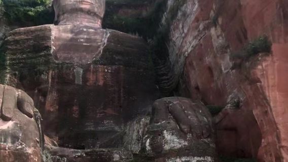 Base d'élevage des pandas géants de Chengdu + Excursion d'une journée au Bouddha géant de Leshan (Observez les adorables pandas le matin et le Bouddha l'après-midi)