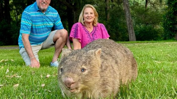 SydneyExcursions d'une journée