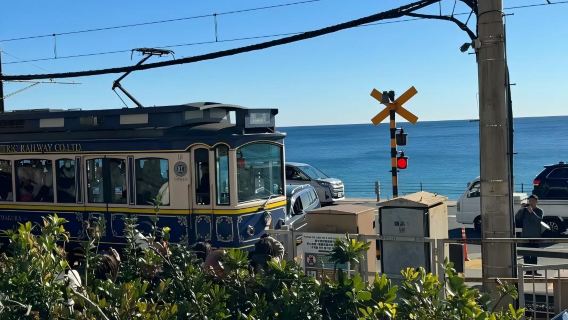 日本東京+鎌倉+江之島+鎌倉大佛一日遊/行程可調-可定制多日