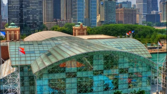 經典芝加哥一日遊：打卡千禧公園+探秘藝術博物館+領略建築奇觀