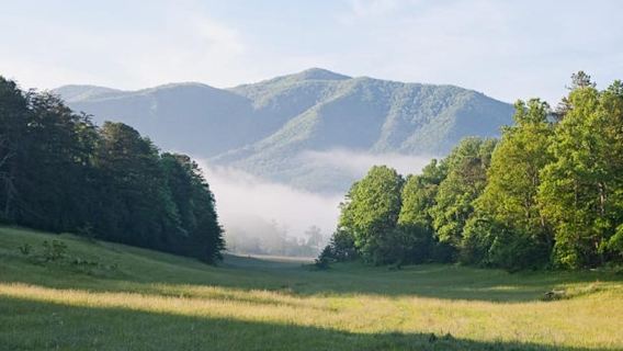 Pigeon Forge: Sights of the Smokies Guided Tour