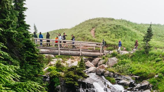 Desde Seattle: Visita guiada al Parque Nacional Monte Rainier