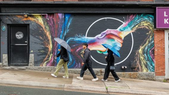 Halifax: Tur Jalan Kaki Kelompok Kecil dengan Citadel & Museum