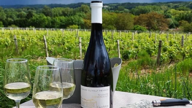 Wine & cheese ebike tour and gourmet picnic in the vineyards