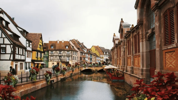โคลมาร์: ตลาดคริสต์มาสและทัวร์เดินชมไฮไลท์ของเมือง