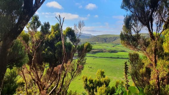 Terceira IslandExperiences